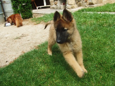 kali28.5.2009 171.jpg